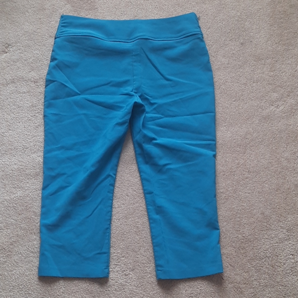 Capris - Picture 6 of 6